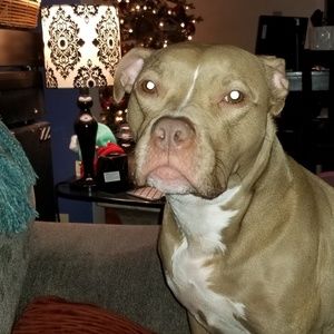 Meet your Posher, Diana